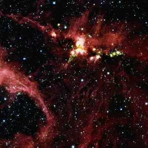 Stars surrounded by gas and dust in stellar nursery DR21 (infrared)
