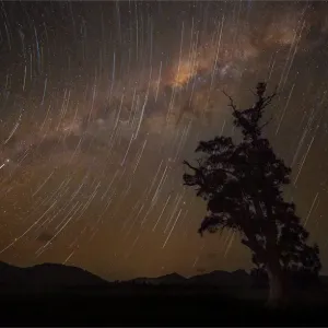 Startrails at Wilpena Pound Startrails at Wilpena Pound