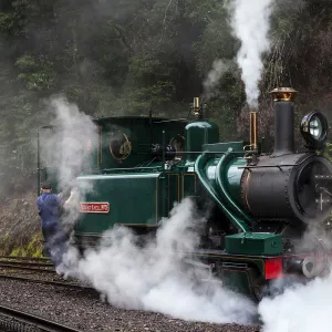 Steam Train, West Coast Wilderness Railway, Tasmania, Australia