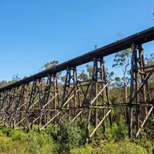 The Stony Creek Trestle Bridge near Nowa Nowa Victoria, Autralia