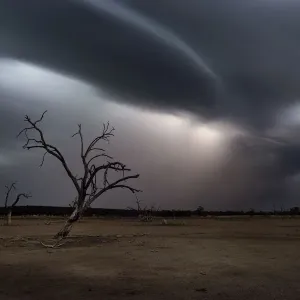 storm clouds and lightning with dead tree storm clouds and lightning with dead tree