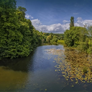 Stour river at Blandford Forum