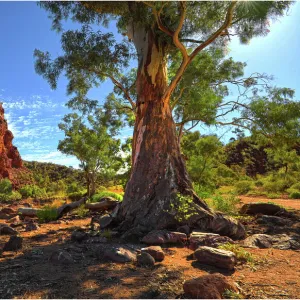 Stubbs waterhole, northern Flinders Ranges, South Australia