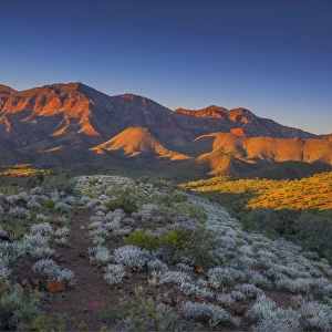A stunning red tinged dawn at the Glass Range, southern Flinders ranges, South Australia