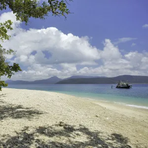 Summer Sandy Beach