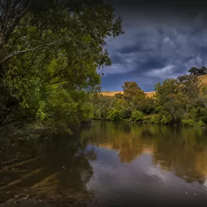 Summer scene on the banks of the Murray river near Corryong