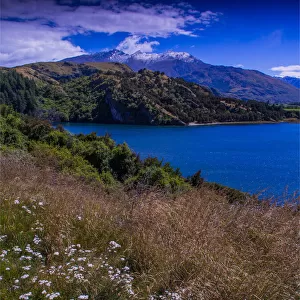 Summer viewpoint at Lake Wanaka, South Island New Zealand