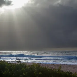 Sun rays over narrabeen beach