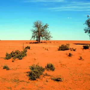 Images Dated 2008 April: 8 Apr 2008