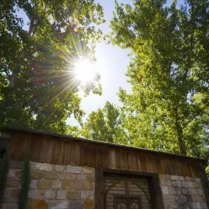 Sunlight through trees over a building