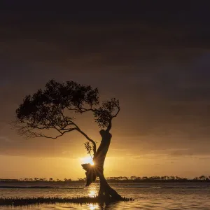 Sunrise at Golden beach on the Sunshine Coast, Australia