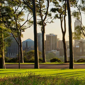 Sunrise At Kings Park Western Australia