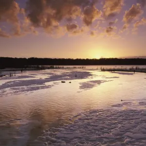 Sunrise Over Lake Boomanijn, Fraser Island, Queensland, Australia