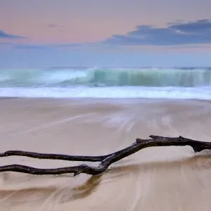 sunrise log on beach sunrise log on beach