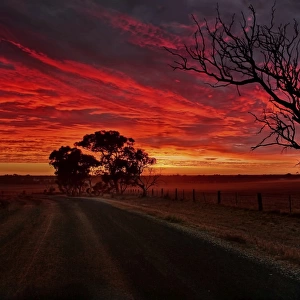 Sunrise in the Outback