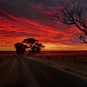 Sunrise in the Outback