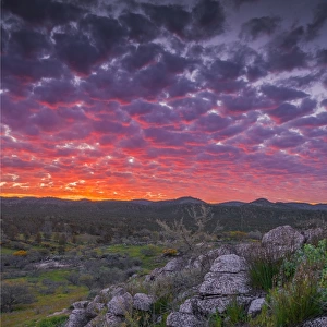 Sunset in the Bunaroo valley in the southern region of Flinders Ranges National Park, South Australia