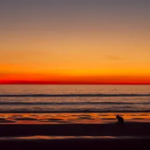 Sunset at Cable Beach Sunset at Cable Beach