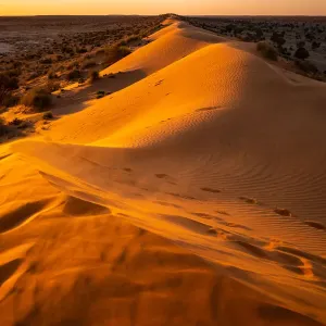 Sunset in the desert