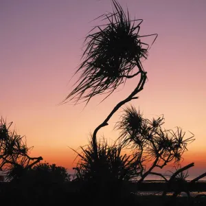 Sunset, East Point, Darwin, Northern Territory, Australia Sunset, East Point, Darwin, Northern Territory, Australia
