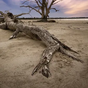 Sunset at Lake Bonney, Barmera, Riverland, South Australia, Australia