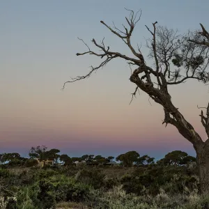 Sunset on the Nullarbor, Western Australia