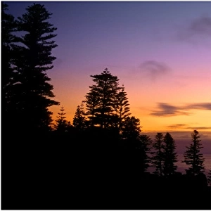Sunset at Puppies point, Norfolk Island