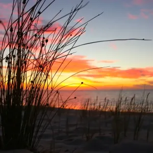 Coucher de soleil à travers les roseaux sur une plage au nord de Perth. Coucher de soleil à travers les roseaux sur une plage au nord de Perth.