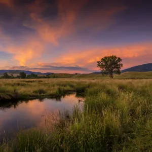 Sunset of rural farmland near Corryong, Upper Murray valley region, north east Victoria