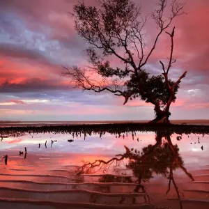 Sunset over tidal area Sunset over tidal area