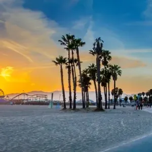 Venice Beach Sunset Print