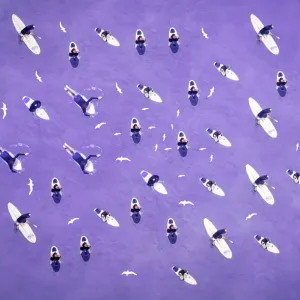 Surf and Seagull Purple Abstract Pattern