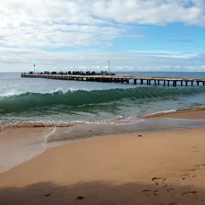 Surge waves in port philip bay
