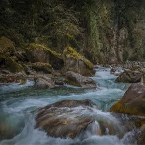 Surging river rapids at Gasa, Bhutan