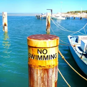 No Swimming Sign - Shark Bay