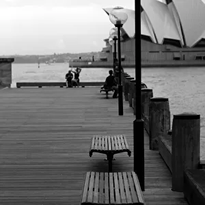 Sydney Harbour scene