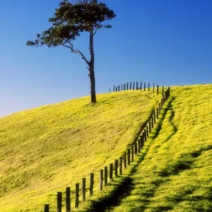 Australian Country Scene Print