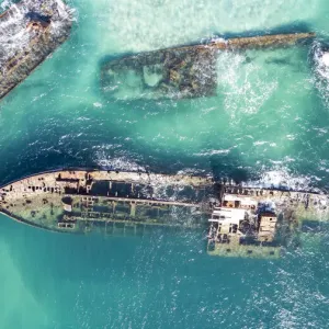 Images Dated 2020 April: 4 Apr 2020