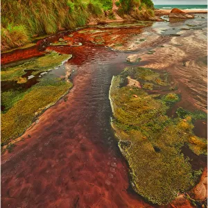 Tannin infused creek meandering its way onto the beach at Disappointment bay, King Island Tasmania