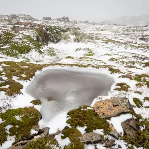 Tarn beginning to freeze Tarn beginning to freeze