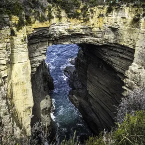 Tasman Arch