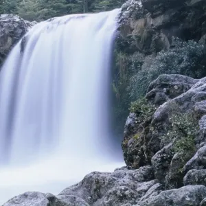 Tawhai Falls Print, a watercolour reproduction