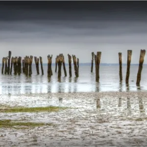 Tenby point, Western port bay, Victoria, Australia