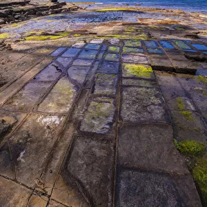 Tessalated pavement, Tasman Peninsula, southern Tasmania