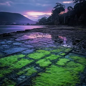 The Tessellated pavements at sunset The Tessellated pavements at sunset