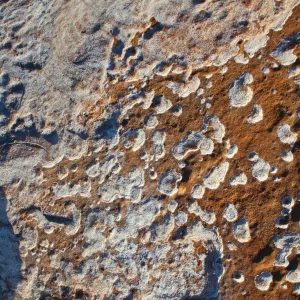 Textured Rock