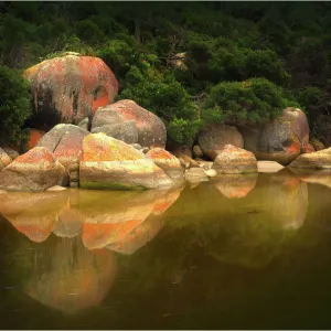 Images Dated 2012: April