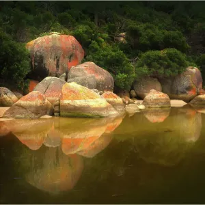 Images Dated 2012 April: 21 Apr 2012