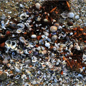 Tidal wash, Cape Patterson, Victoria, Australia