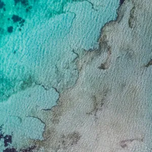 Tiger shark and ocean floor as seen from an aerial point of view, Shark Bay, Australia Tiger shark and ocean floor as seen from an aerial point of view, Shark Bay, Australia